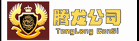 腾龙公司logo
